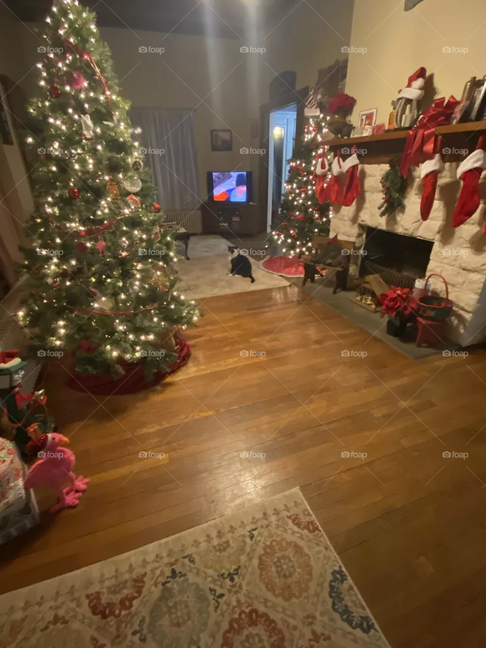 Christmas arrived 
