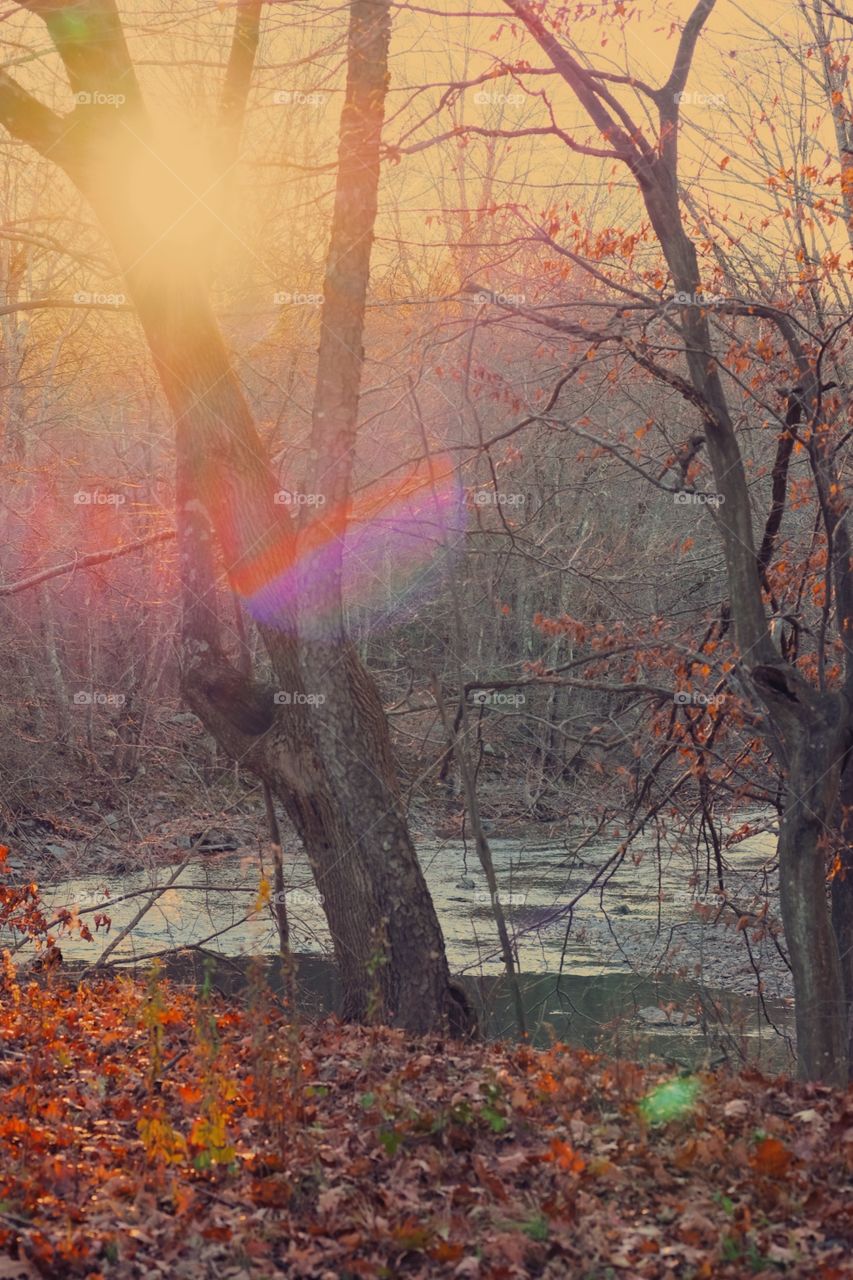 Autumn Hiking, Hiking In Upstate New York, Hiking In The Fall, Sun Shining Through The Autumn Trees,  Fall Leaves Along The River, Hiking In The Fall Time