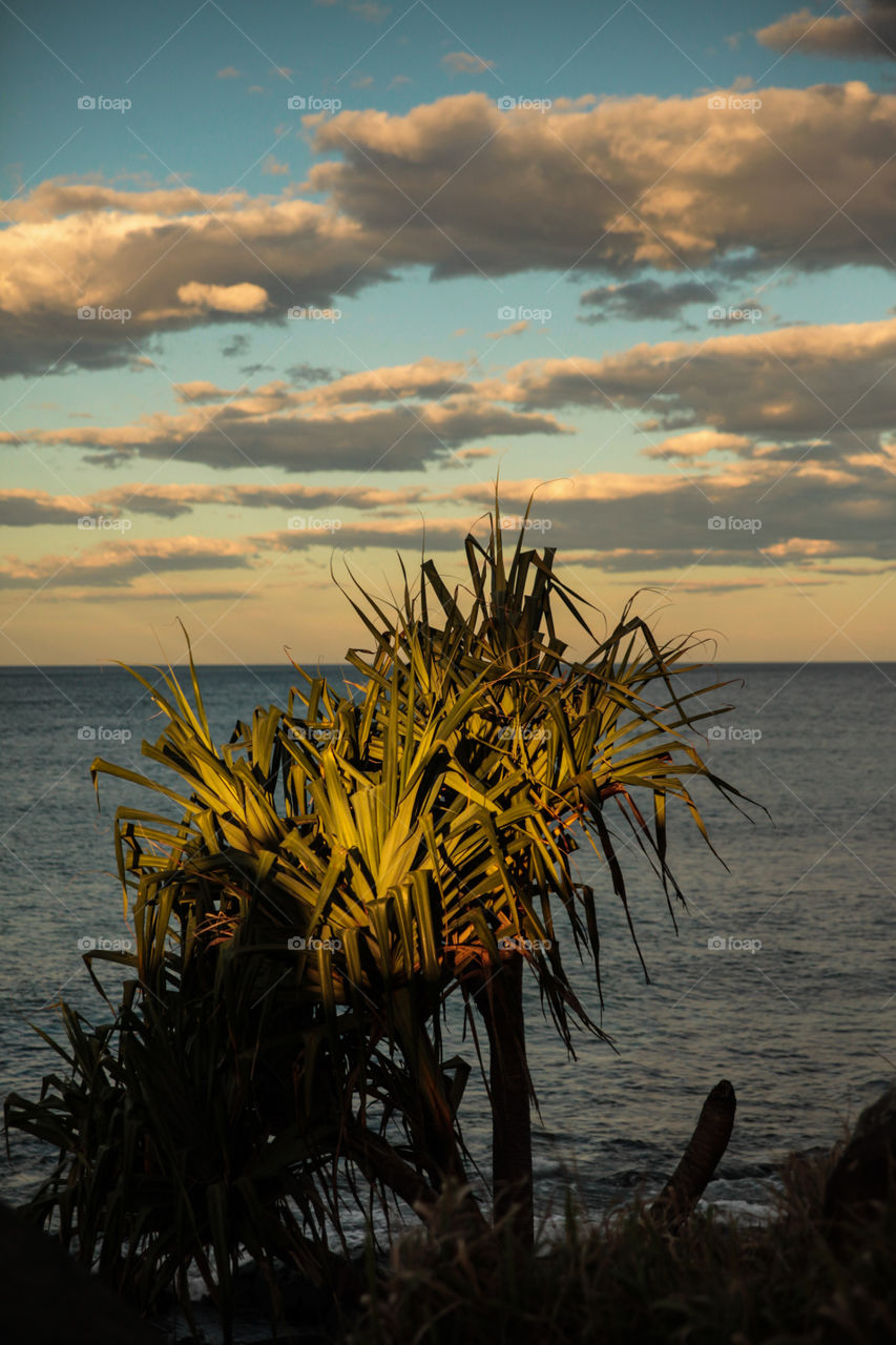 Let the vacation begin 