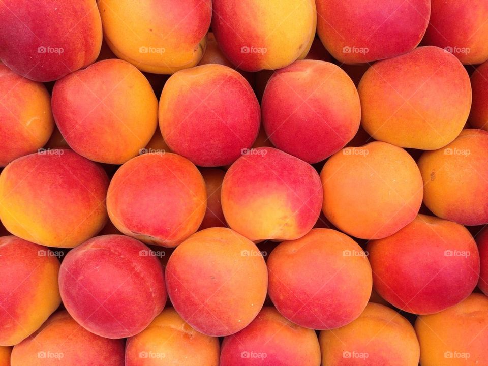 Close-up of apricot