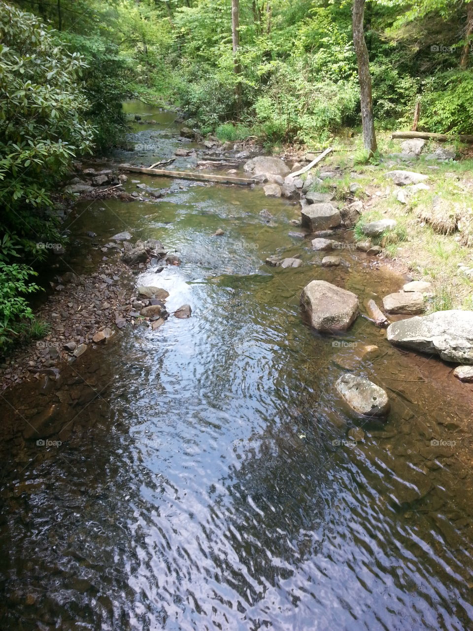 creek. just taking a hike