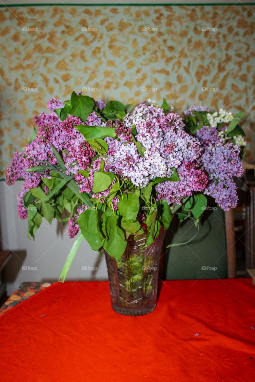 Lilacs in a vase