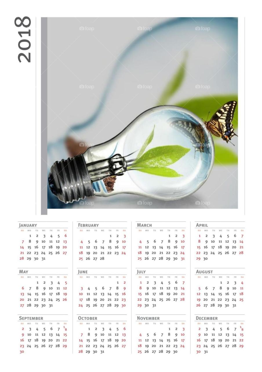 Glühbirne Kalender 2018