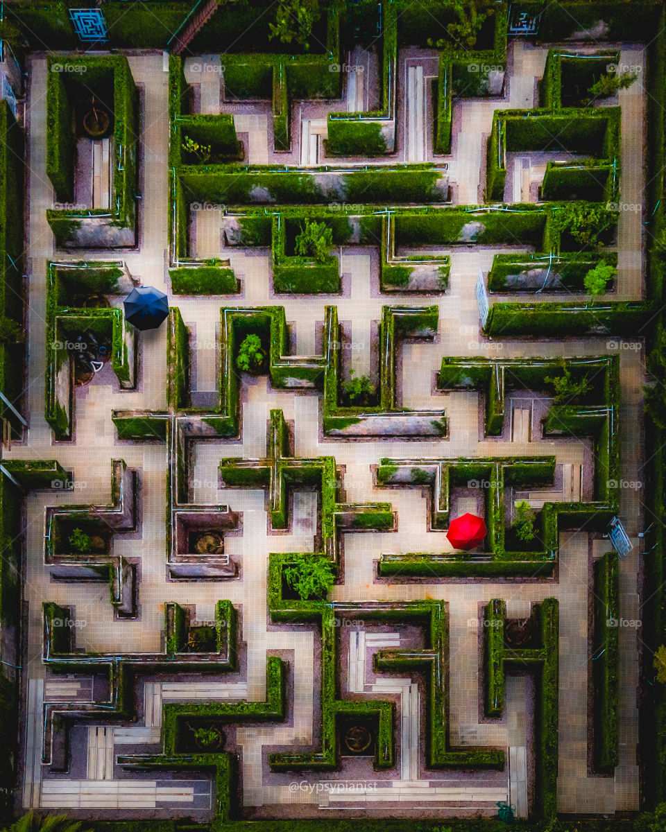 Lost in the maze