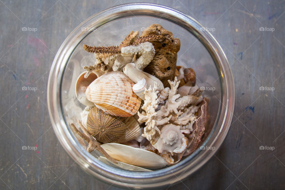 Various Shells