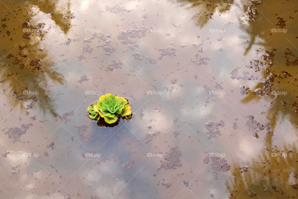 Perfect imperfections