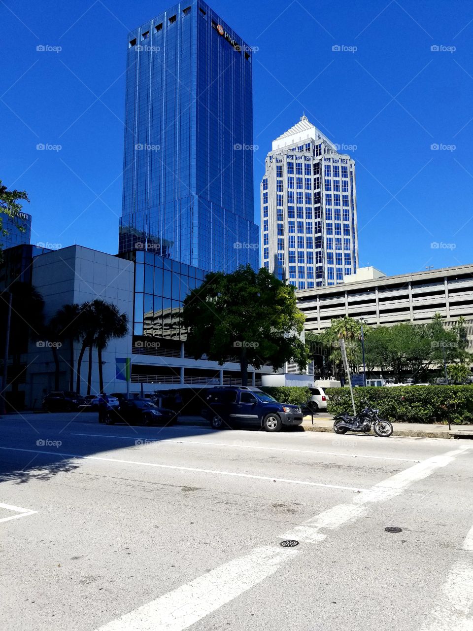 downtown Tampa