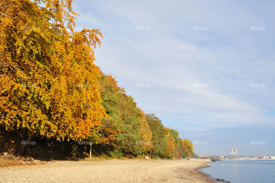 Autumn Baltic Sea coast 