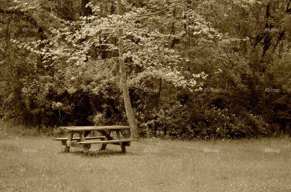 Take the Nostalgic Way Home ( Series )