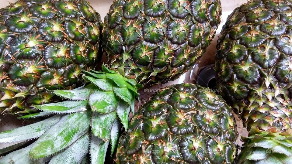 Abacaxis verdes com casca e coroa.