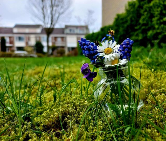 spring flowers