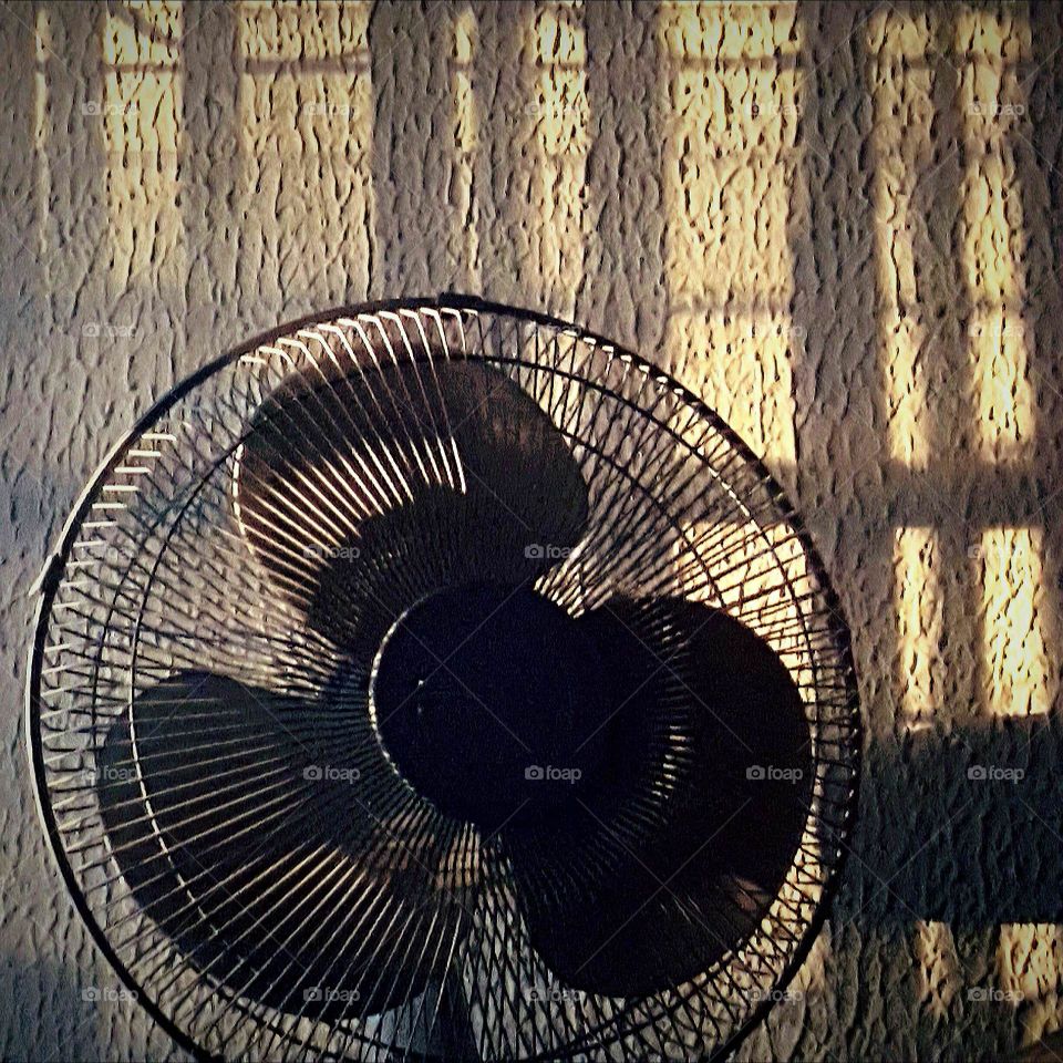 Fan Sunset