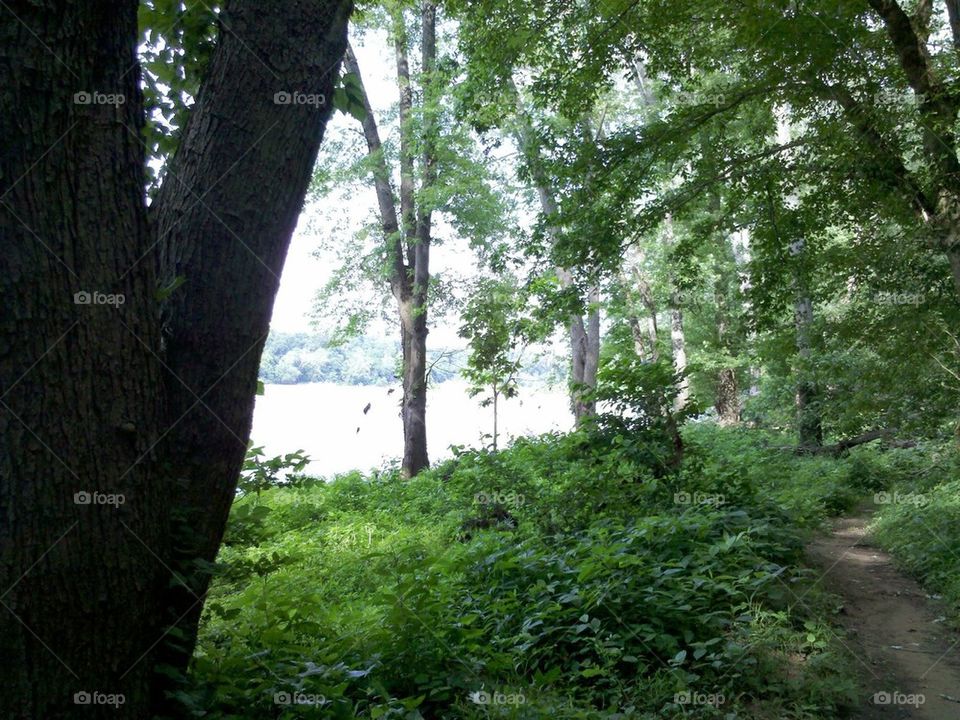 Potomac river trail
