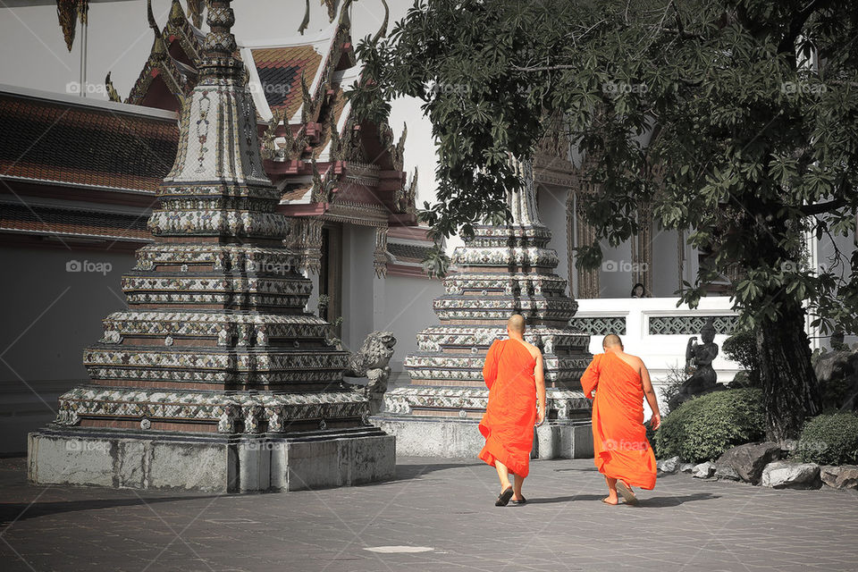 Monk in Thai Temple.