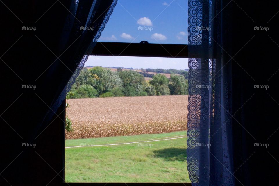 View of blue sky and clouds, cornfields and tree-covered, rolling hills through an upper-story, silhouetted window with white lace curtains on a beautiful, late summer day