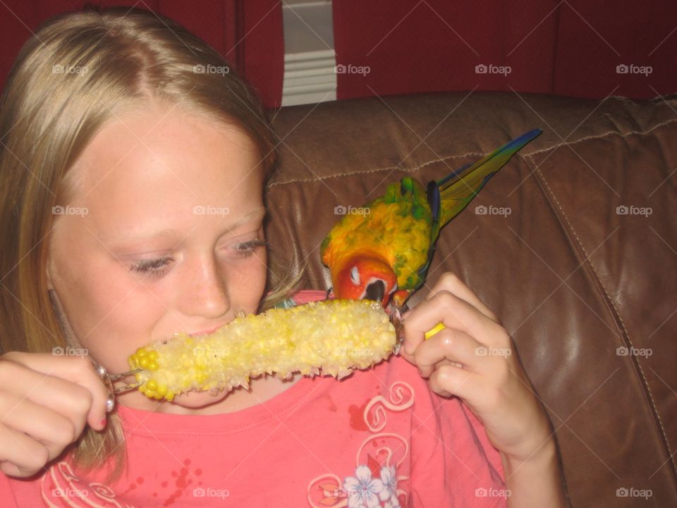 Sharing a meal. Bird loves corn on the cob!