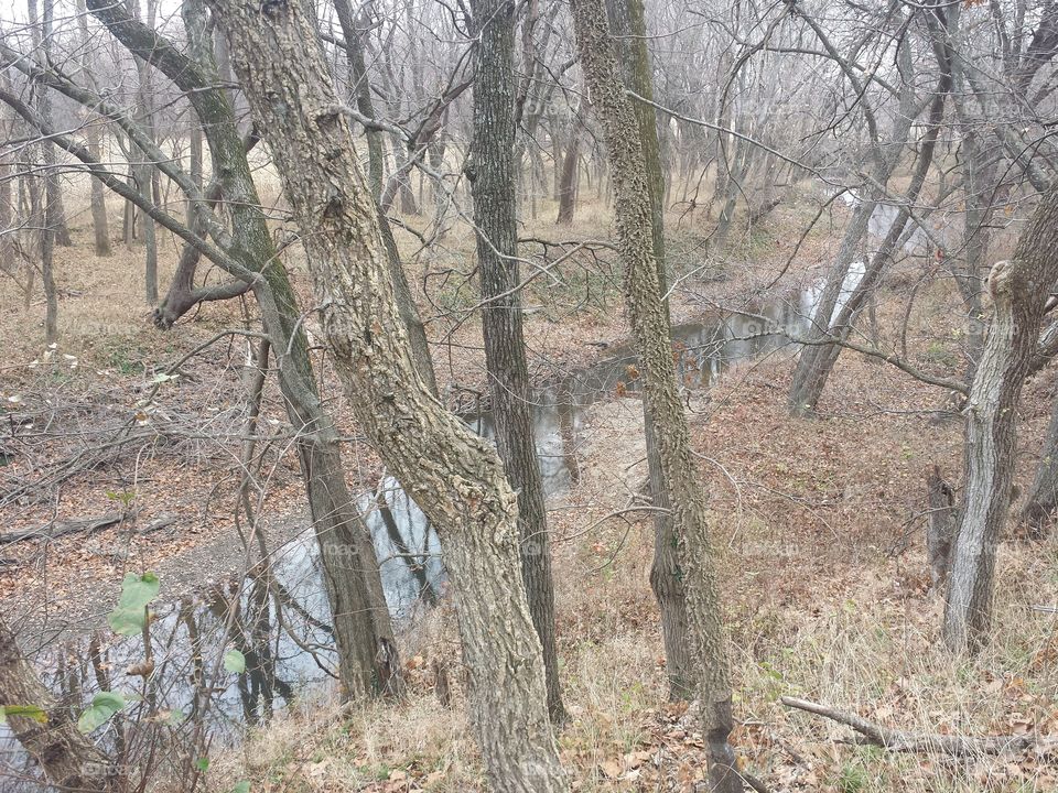 creek reflecting