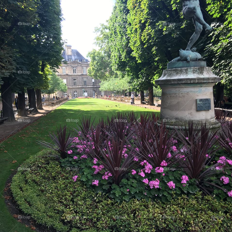 Garden in Paris