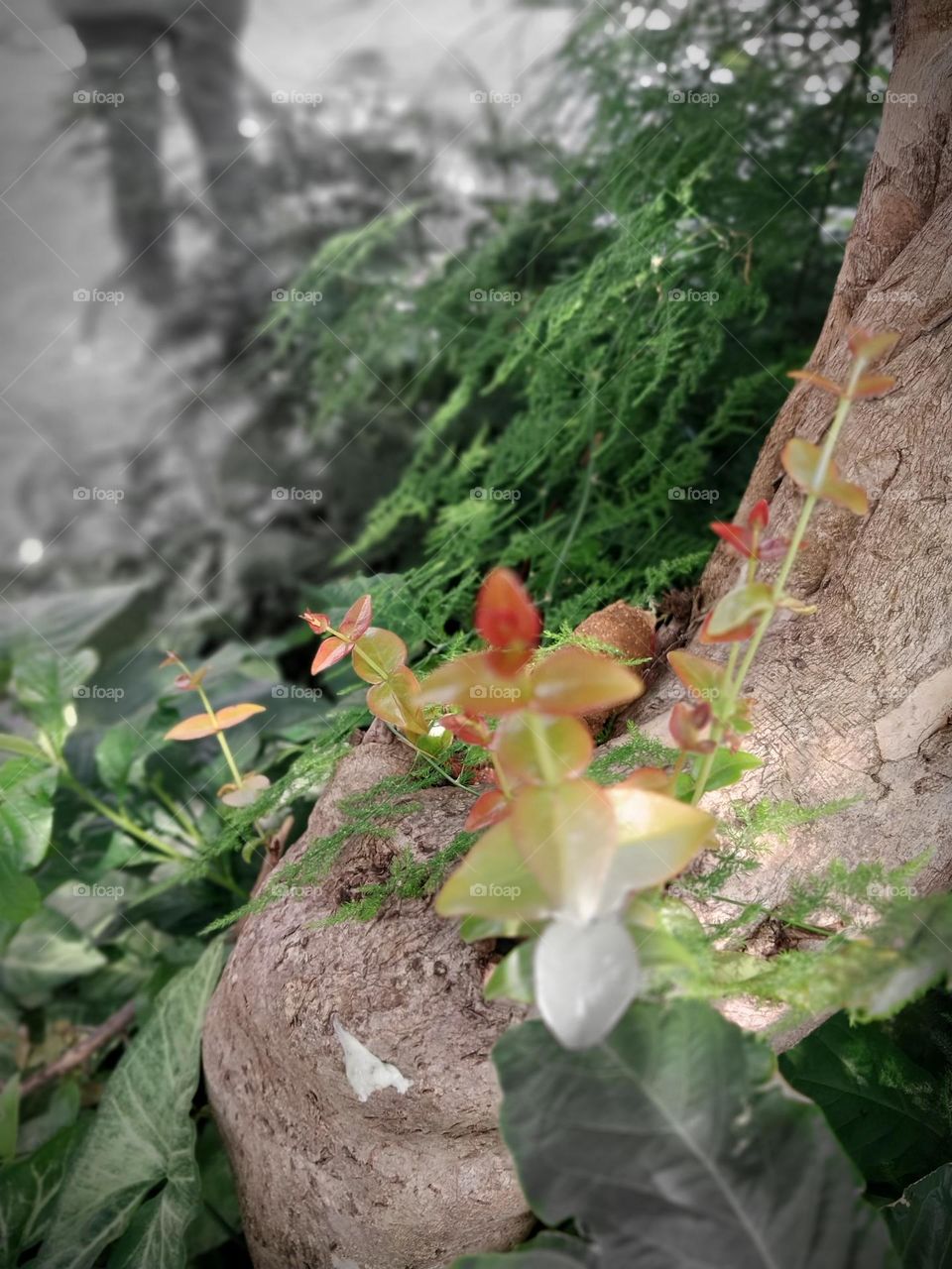 In the middle of a tree