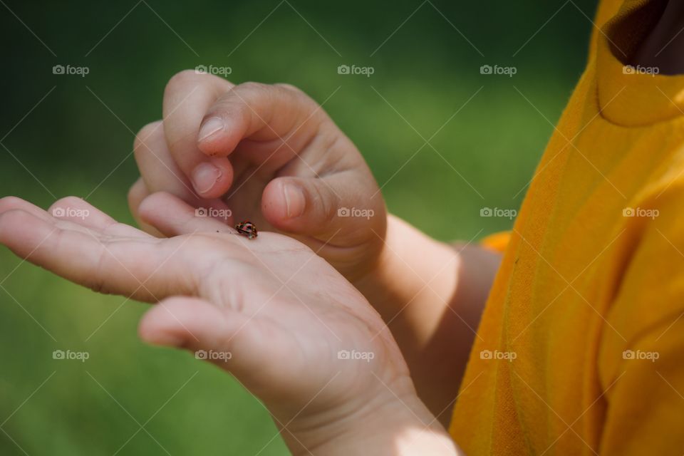 Spending time looking for ladybugs 🐞