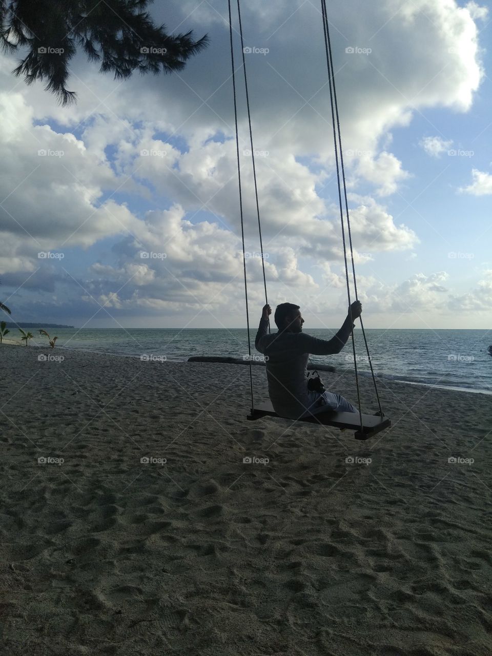 beachside swing