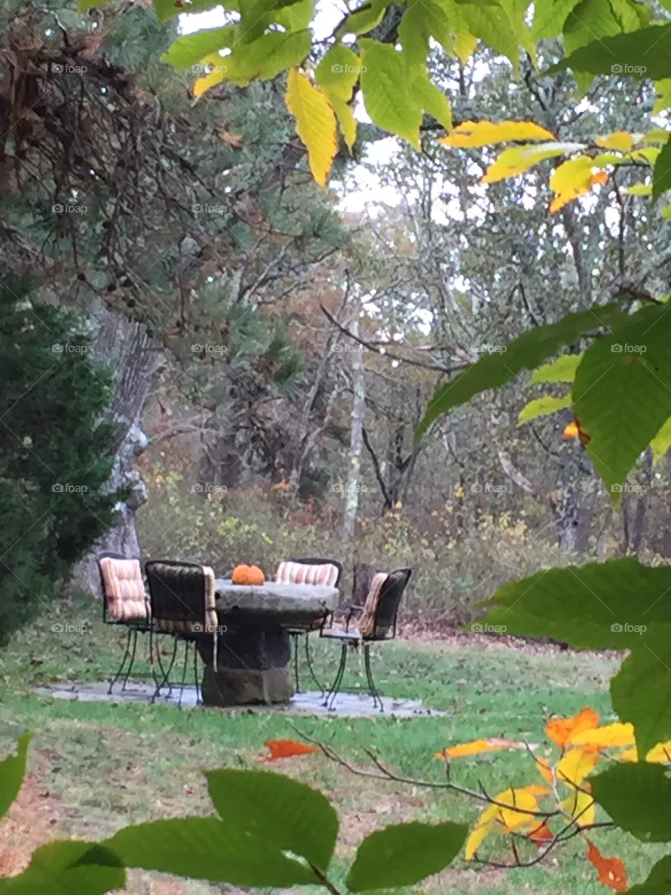 Fall 