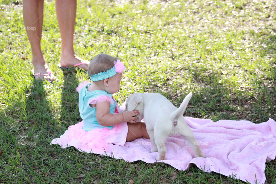 baby and puppy play