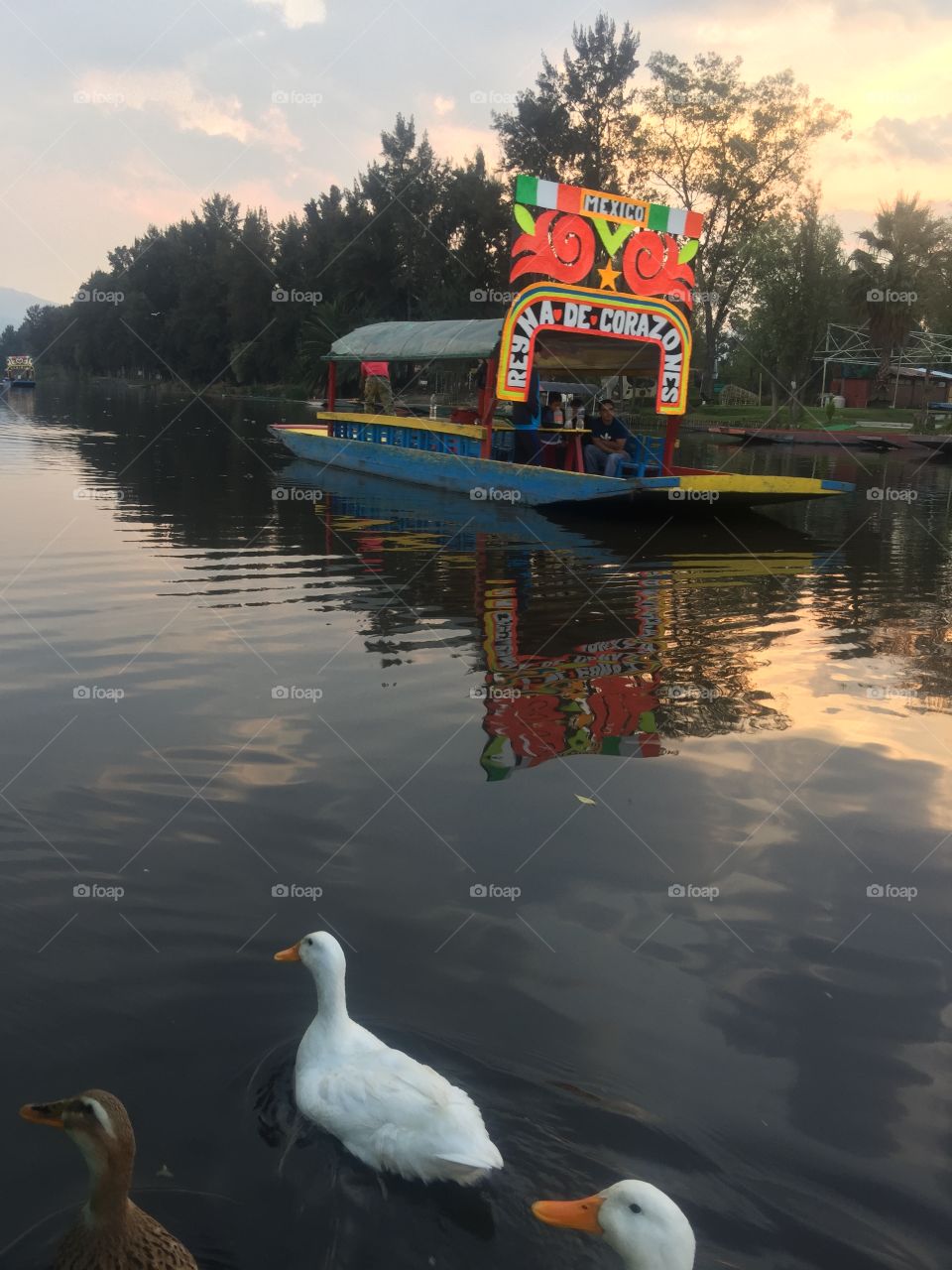 Xochimilco 