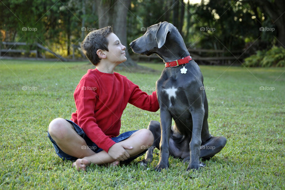 Boy and dog looking at each other