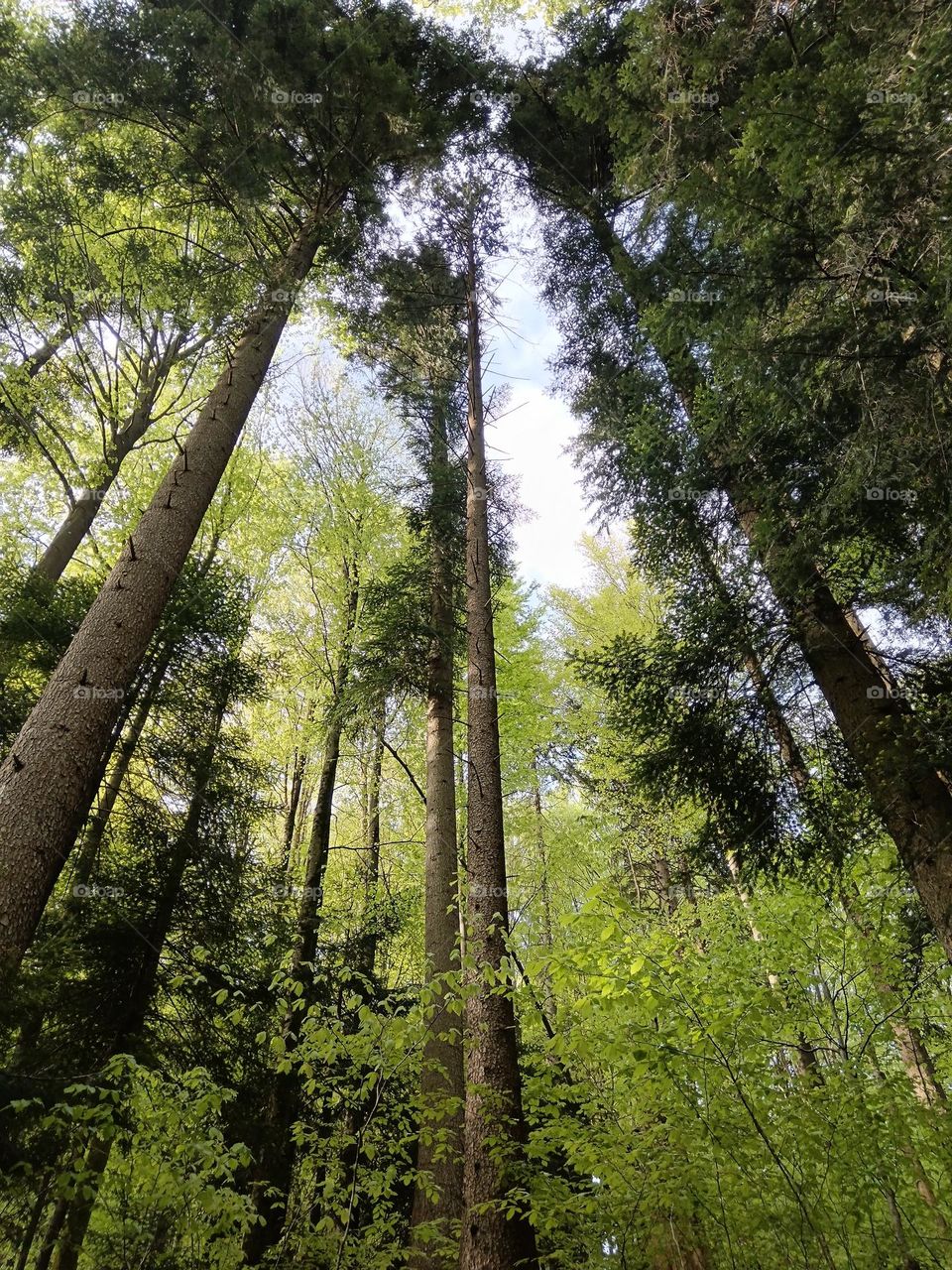 beautifull place to be