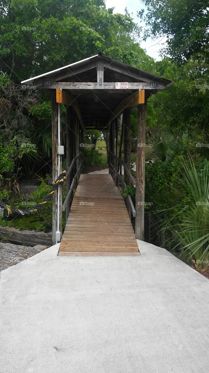 Bridge at a boy scout camp...