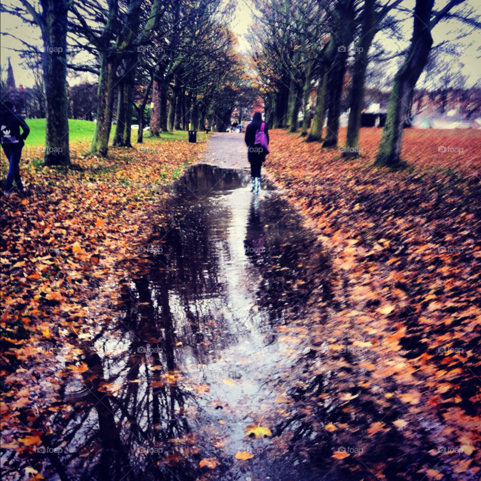 puddle trees leaves flood girl walk brown autumn green grasa leeds by mbambino
