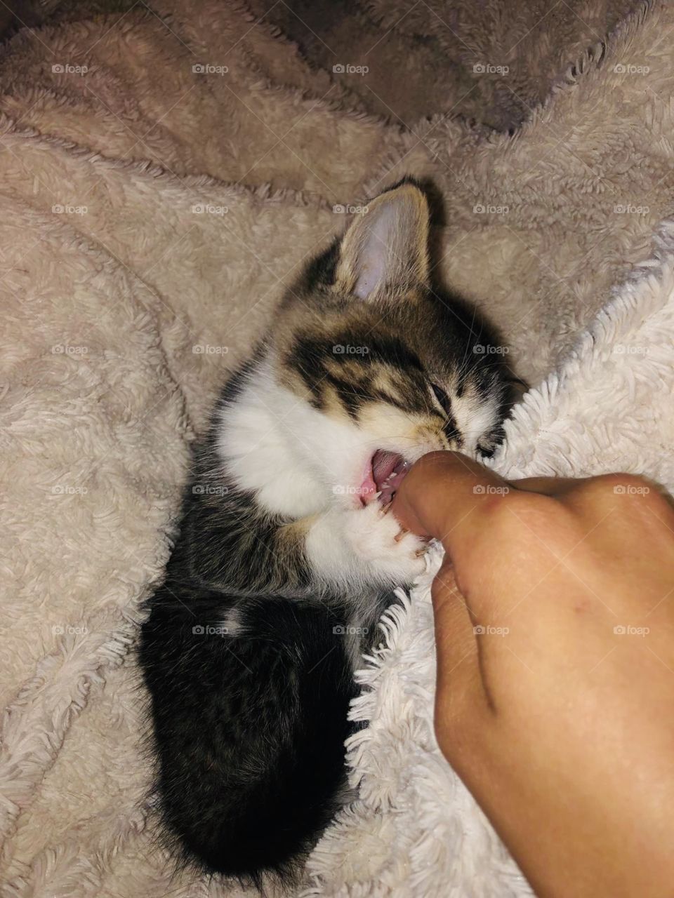 “just a little nibble “ 😂