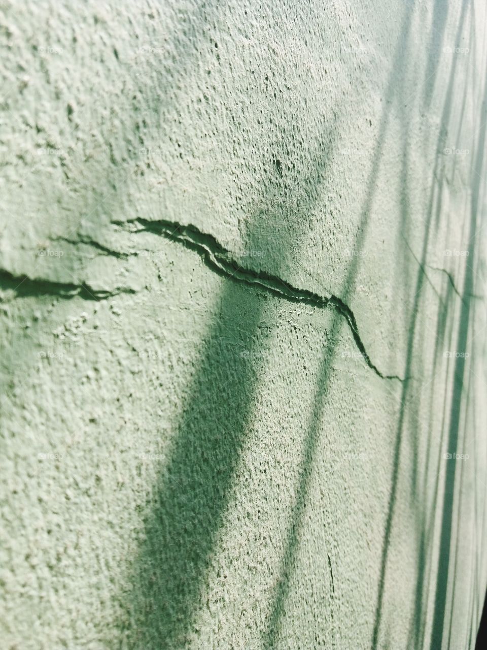 Sunlight shines through the window.