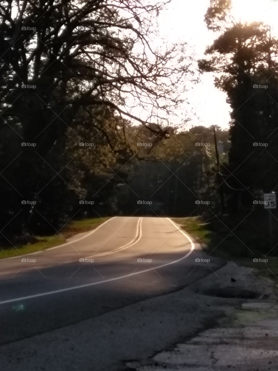 Dusk sunshine on an untraveled road in a small town in the foothills of North Carolina.
