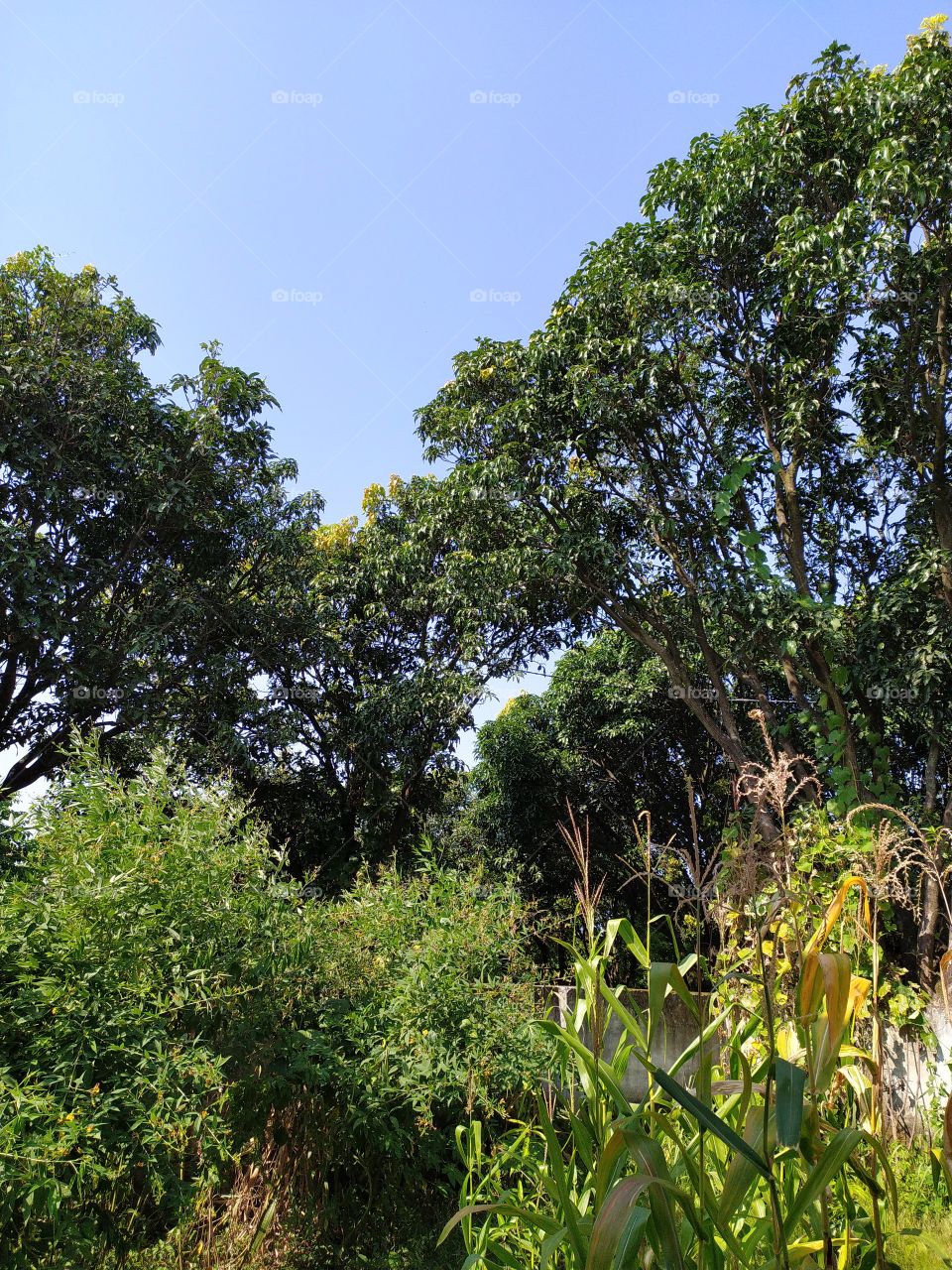 Autumn, the season on duty nowAutumn, the season on duty now let's nature all its splendour before the fall period starts