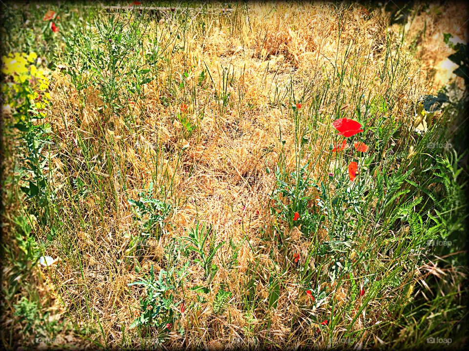 Summer in the city...