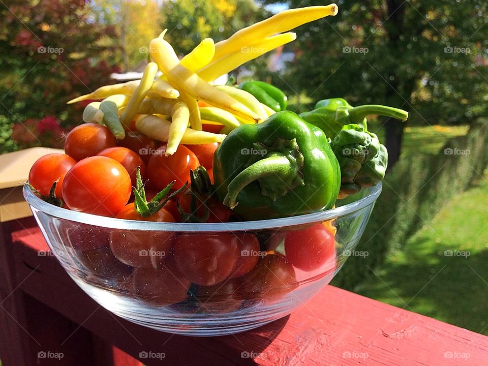 Freshly picked vegetables 
, 