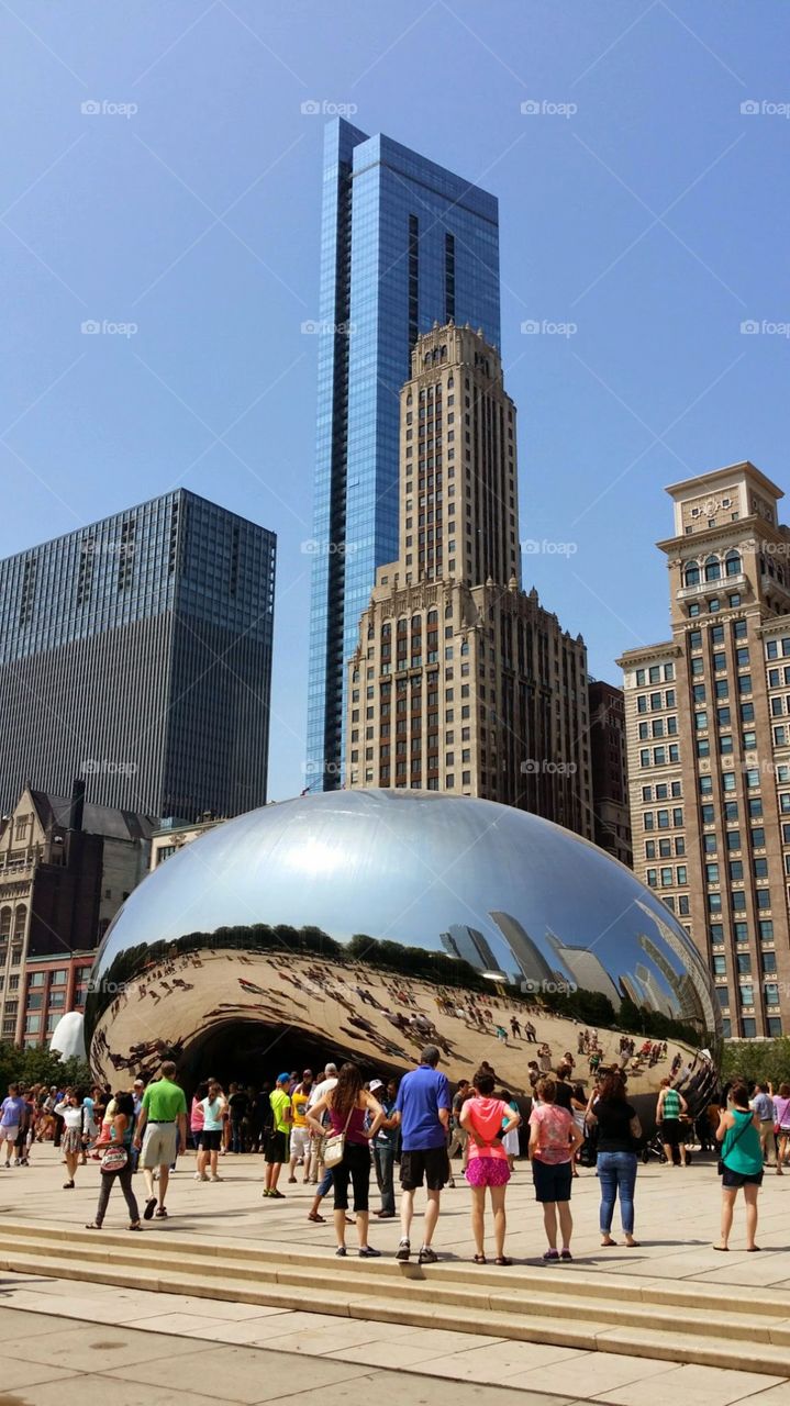 Chicago Bean
