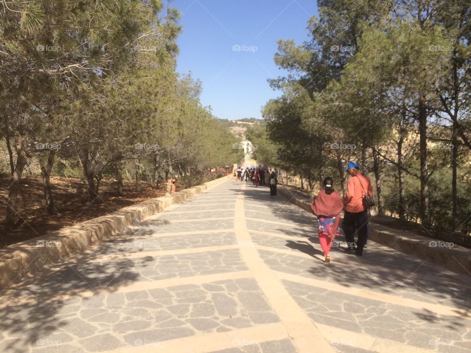 Up Hill path to Mount Nebo
