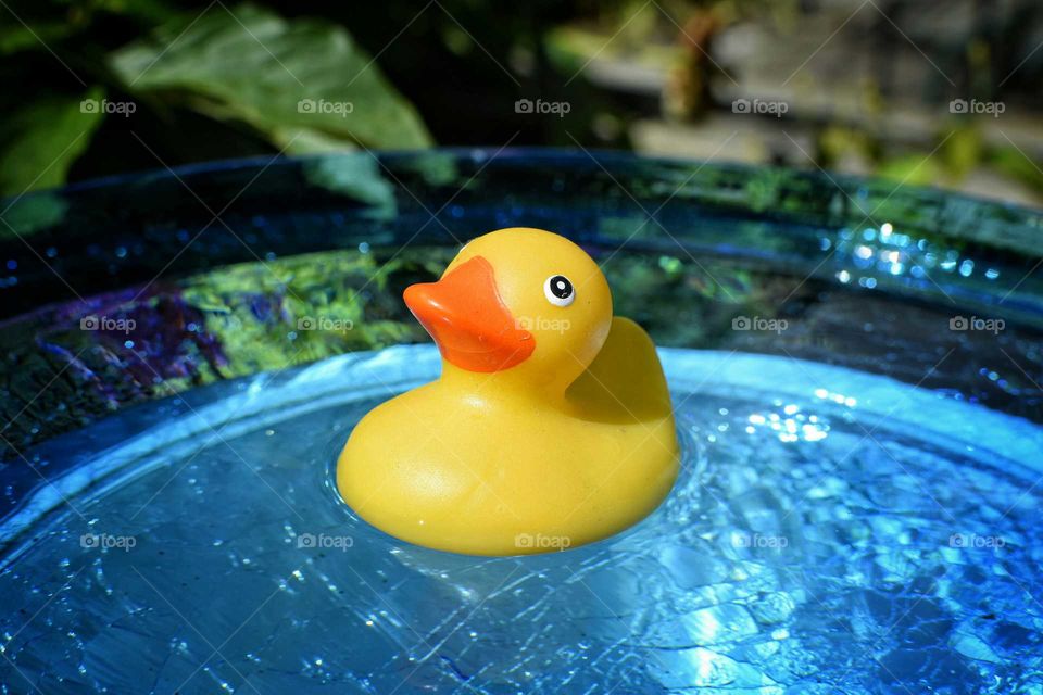 Close-up of rubber duck in water