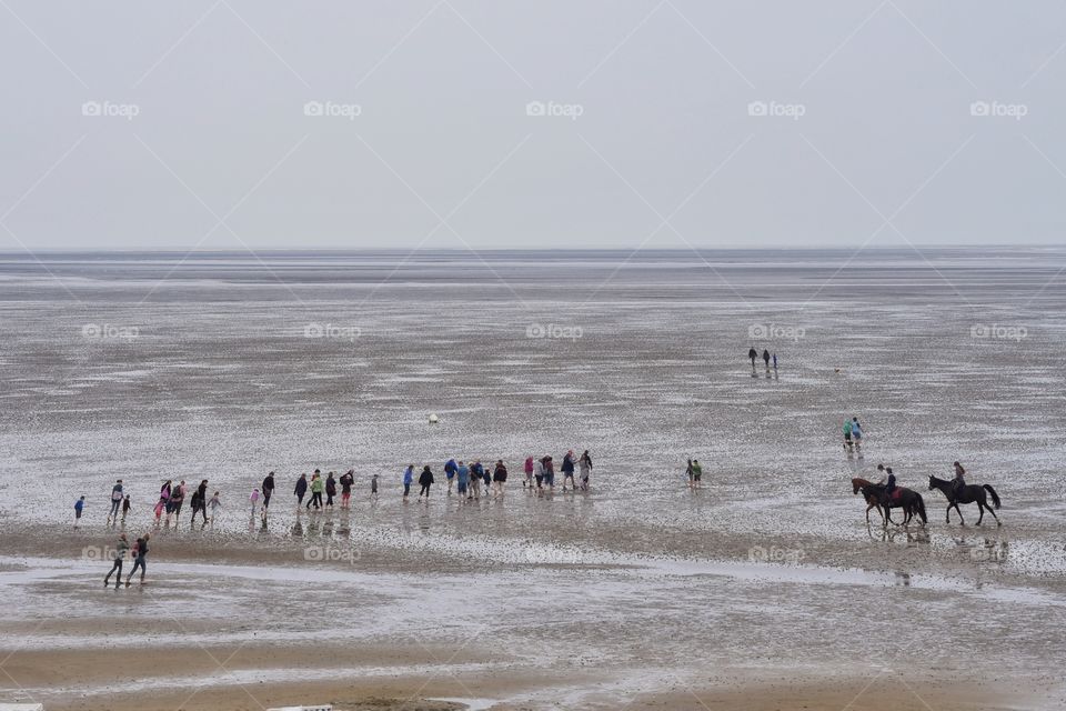 Mudflat hiking and riding