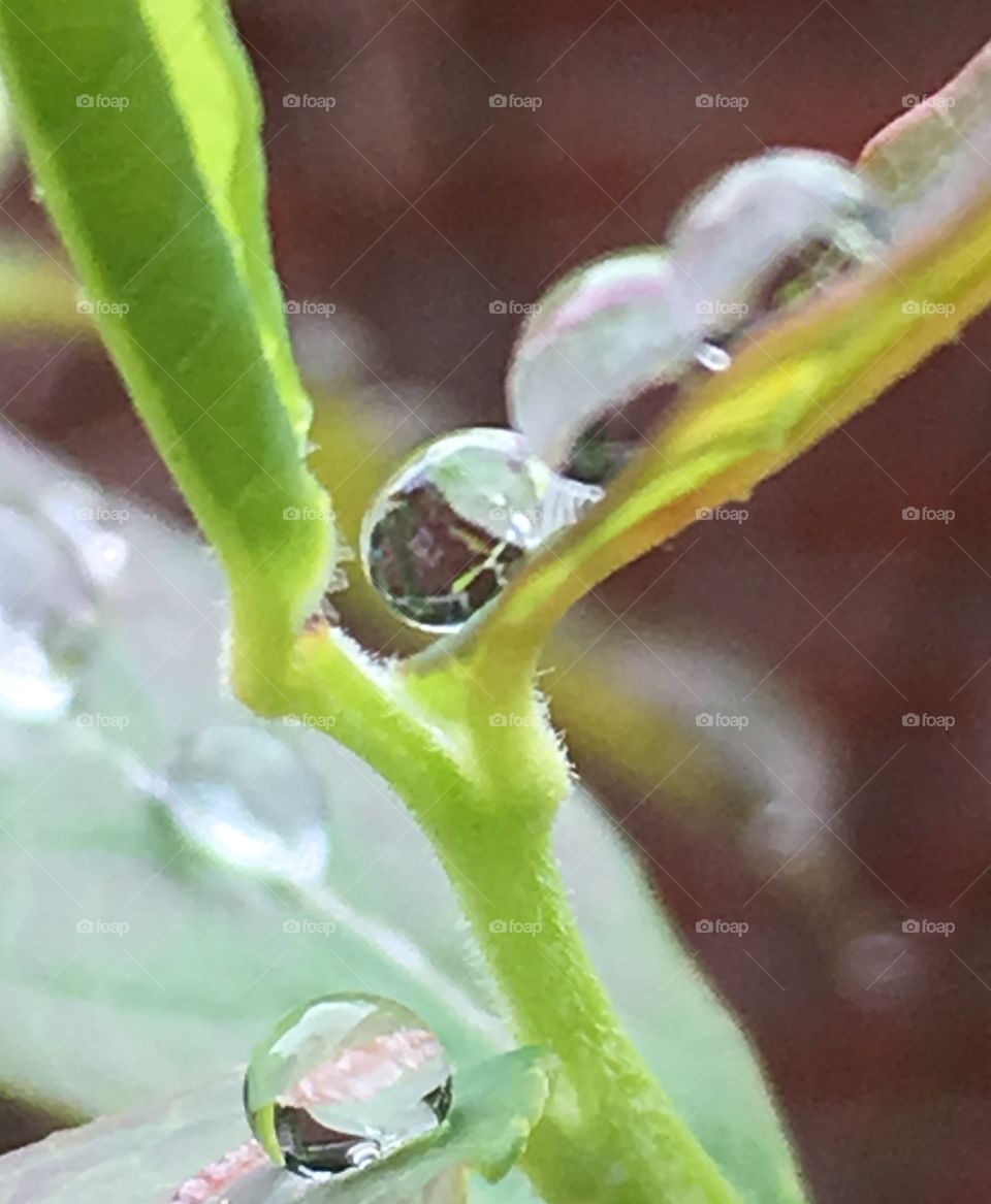 Balancing droplets takes great focus- bringing admiration of reflection to those capturing delicate images.