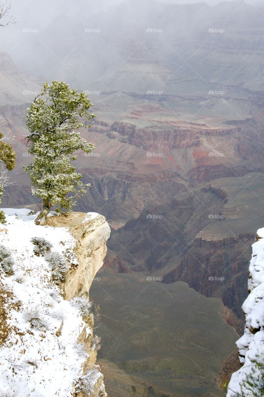 Grand Canyon, winter 