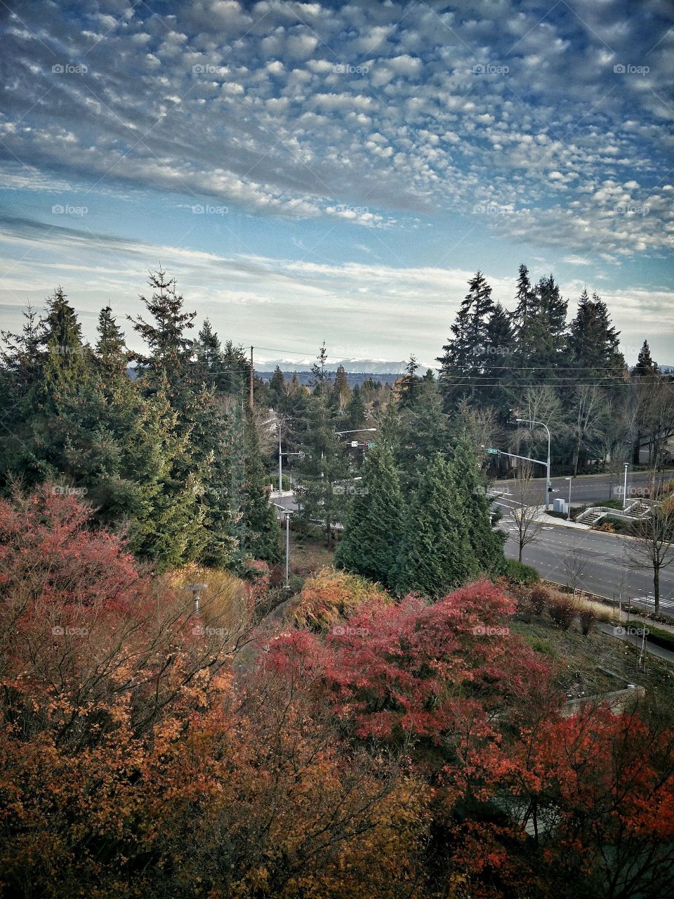 Fall in the Northwest