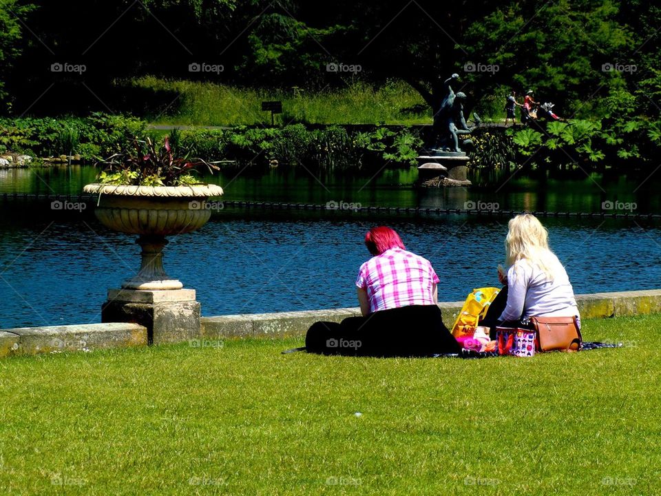 Picknick in the summersun
