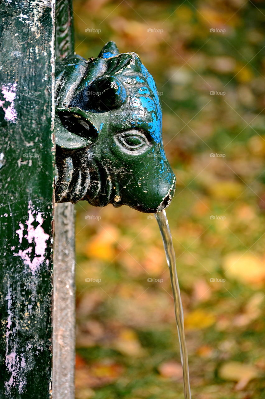 A drinking fountain