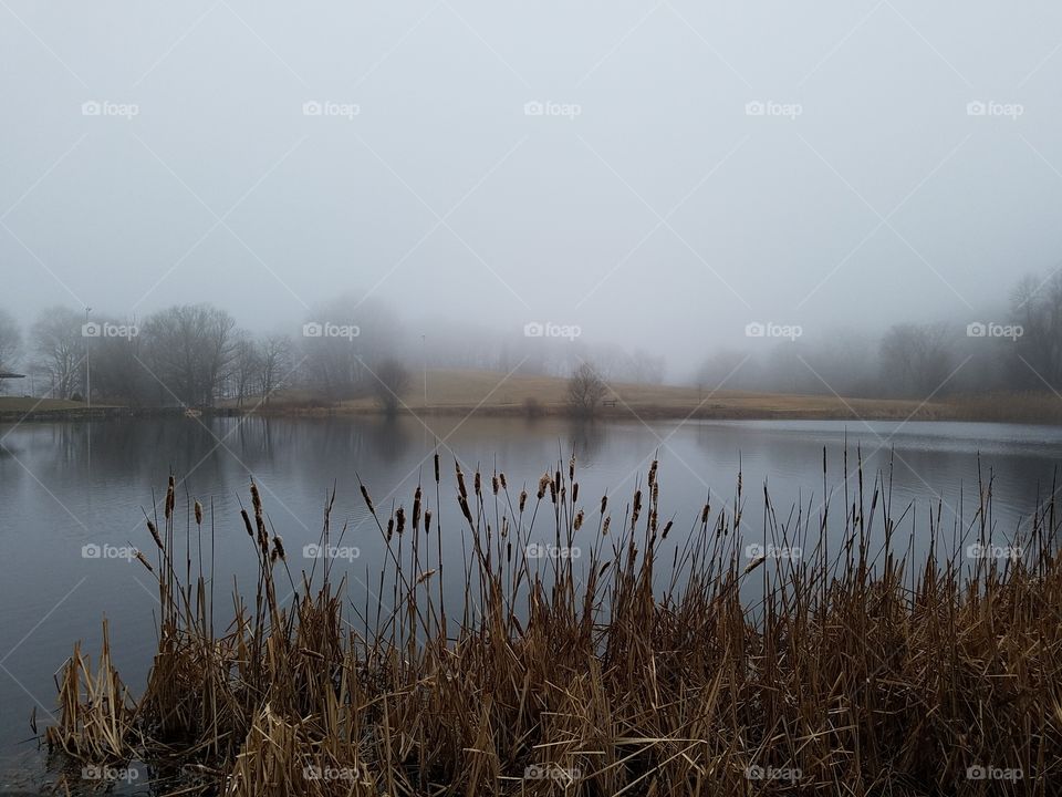 Fog, No Person, Water, Lake, Dawn