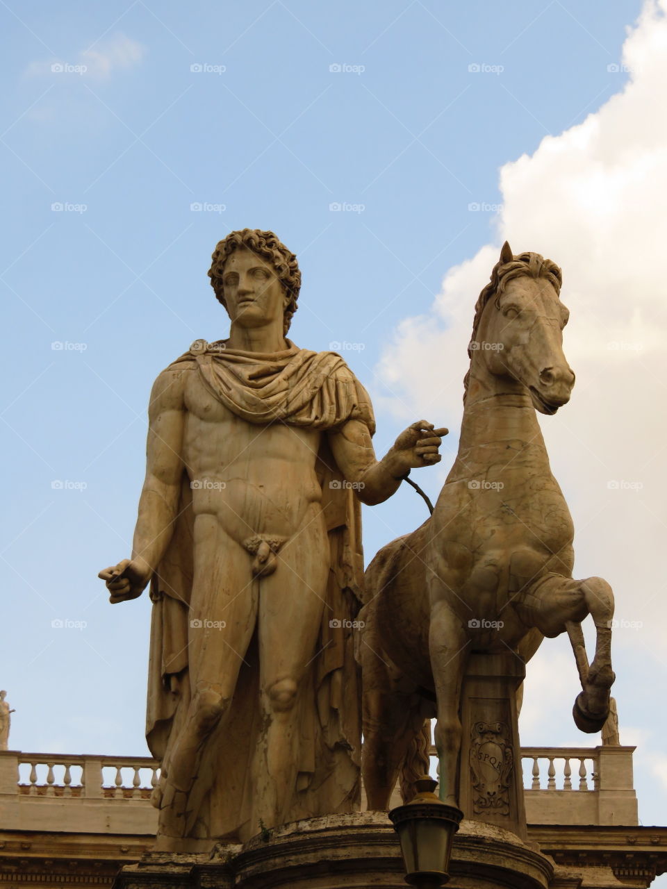 Castor or Pollux?