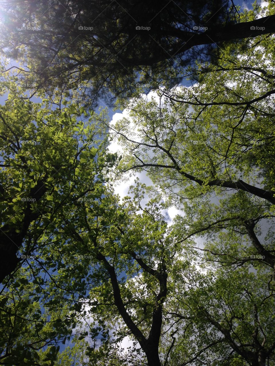 Look up once in a while 